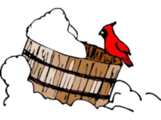 Sticker Custom Preview Image #016455 Animals Birds Cardinal5
