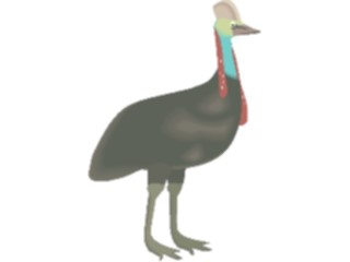 Sticker Custom Preview Image #016459 Animals Birds Cassowary1