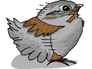 Sticker Custom Preview Image #016462 Animals Birds Chick1