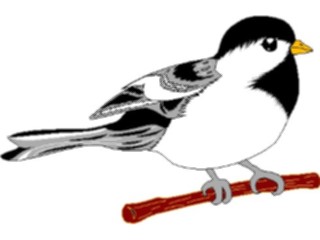 Sticker Custom Preview Image #016464 Animals Birds Chickadee1