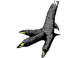 Sticker Custom Preview Image #016466 Animals Birds Claw