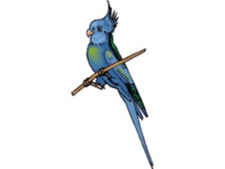 Sticker Custom Preview Image #016468 Animals Birds Cockatiel