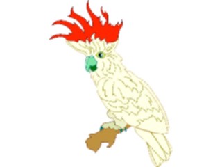 Sticker Custom Preview Image #016469 Animals Birds Cockatoo01