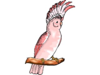 Sticker Custom Preview Image #016473 Animals Birds Cockatoo05
