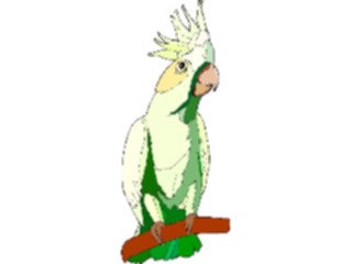 Sticker Custom Preview Image #016477 Animals Birds Cockatoo09