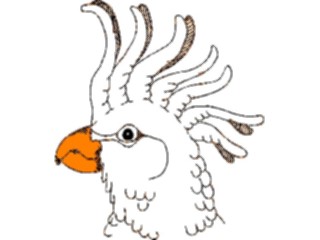 Sticker Custom Preview Image #016478 Animals Birds Cockatoo10