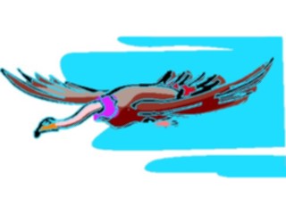 Sticker Custom Preview Image #016481 Animals Birds Condor1