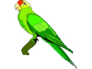 Sticker Custom Preview Image #016487 Animals Birds Conure4