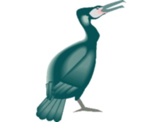 Sticker Custom Preview Image #016488 Animals Birds Cormorant1
