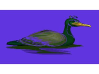 Sticker Custom Preview Image #016490 Animals Birds Cormorant3