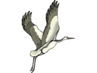 Sticker Custom Preview Image #016503 Animals Birds Crane11