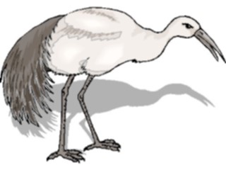 Sticker Custom Preview Image #016505 Animals Birds Crane13