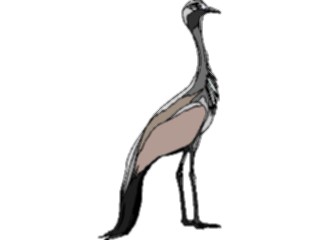 Sticker Custom Preview Image #016509 Animals Birds Crane17