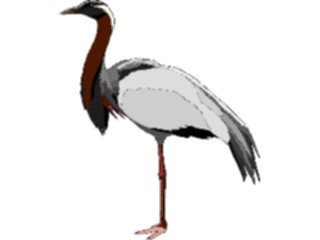 Sticker Custom Preview Image #016510 Animals Birds Crane18