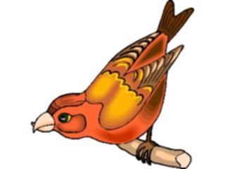Sticker Custom Preview Image #016514 Animals Birds Crossbill