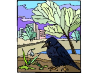 Sticker Custom Preview Image #016516 Animals Birds Crow2
