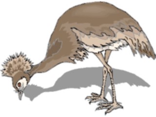 Sticker Custom Preview Image #016524 Animals Birds Crowned Crane3