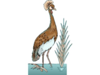 Sticker Custom Preview Image #016525 Animals Birds Crowned Crane4