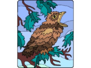 Sticker Custom Preview Image #016526 Animals Birds Cuckoo Chick