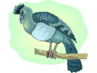 Sticker Custom Preview Image #016527 Animals Birds Curassow