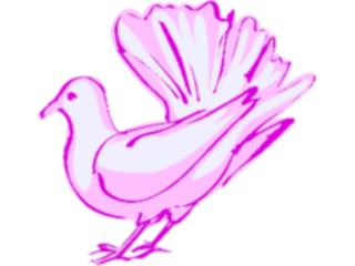 Sticker Custom Preview Image #016533 Animals Birds Dove05