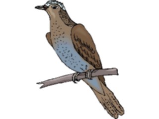 Sticker Custom Preview Image #016536 Animals Birds Dove08