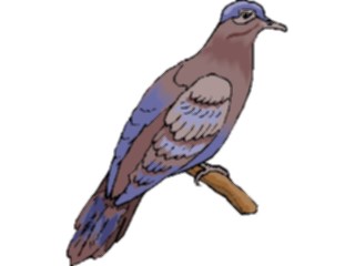 Sticker Custom Preview Image #016537 Animals Birds Dove09