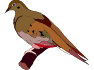 Sticker Custom Preview Image #016540 Animals Birds Dove12