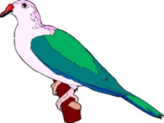 Sticker Custom Preview Image #016541 Animals Birds Dove13