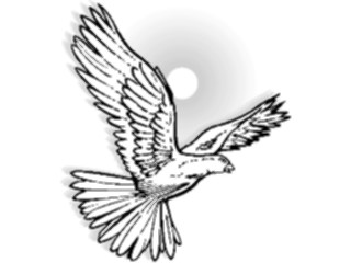 Sticker Custom Preview Image #016550 Animals Birds Dove Flying5
