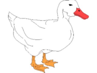 Sticker Custom Preview Image #016558 Animals Birds Duck01