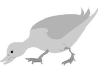 Sticker Custom Preview Image #016560 Animals Birds Duck03