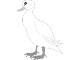 Sticker Custom Preview Image #016562 Animals Birds Duck05