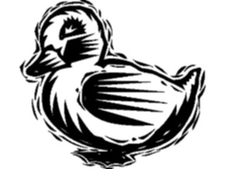 Sticker Custom Preview Image #016568 Animals Birds Duck11