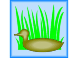 Sticker Custom Preview Image #016569 Animals Birds Duck12