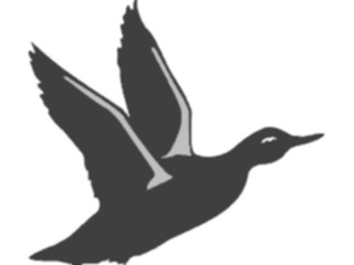 Sticker Custom Preview Image #016570 Animals Birds Duck13