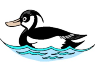Sticker Custom Preview Image #016573 Animals Birds Duck16