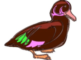 Sticker Custom Preview Image #016576 Animals Birds Duck19