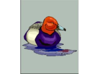 Sticker Custom Preview Image #016582 Animals Birds Duck25