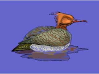 Sticker Custom Preview Image #016583 Animals Birds Duck26