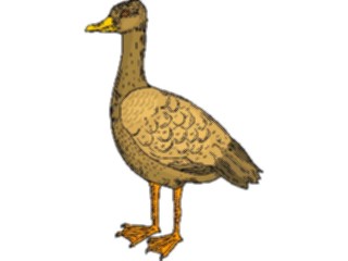 Sticker Custom Preview Image #016592 Animals Birds Duck35