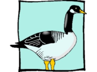 Sticker Custom Preview Image #016593 Animals Birds Duck36