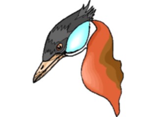 Sticker Custom Preview Image #016599 Animals Birds Duck42