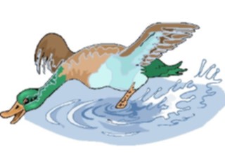 Sticker Custom Preview Image #016603 Animals Birds Duck46