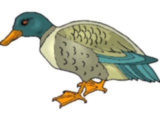 Sticker Custom Preview Image #016605 Animals Birds Duck48