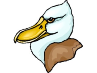 Sticker Custom Preview Image #016612 Animals Birds Duck55