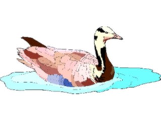Sticker Custom Preview Image #016620 Animals Birds Duck63