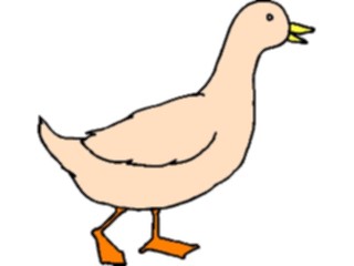 Sticker Custom Preview Image #016624 Animals Birds Duck67