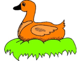 Sticker Custom Preview Image #016625 Animals Birds Duck68