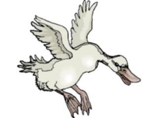 Sticker Custom Preview Image #016626 Animals Birds Duck69